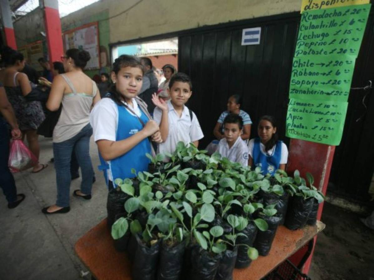 Los pequeños emprendedores de la capital