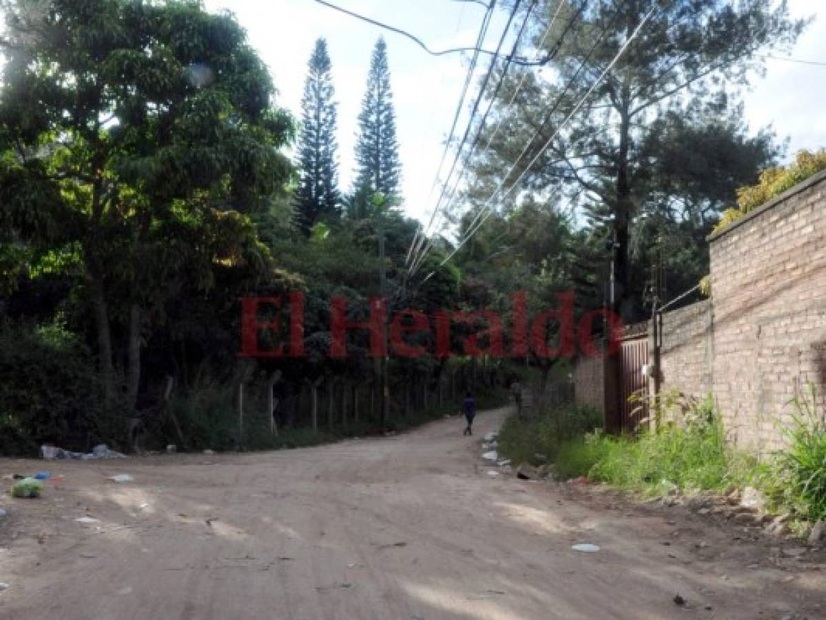 Vecinos de la residencial Monte Fresco piden pavimentación de calle a las autoridades