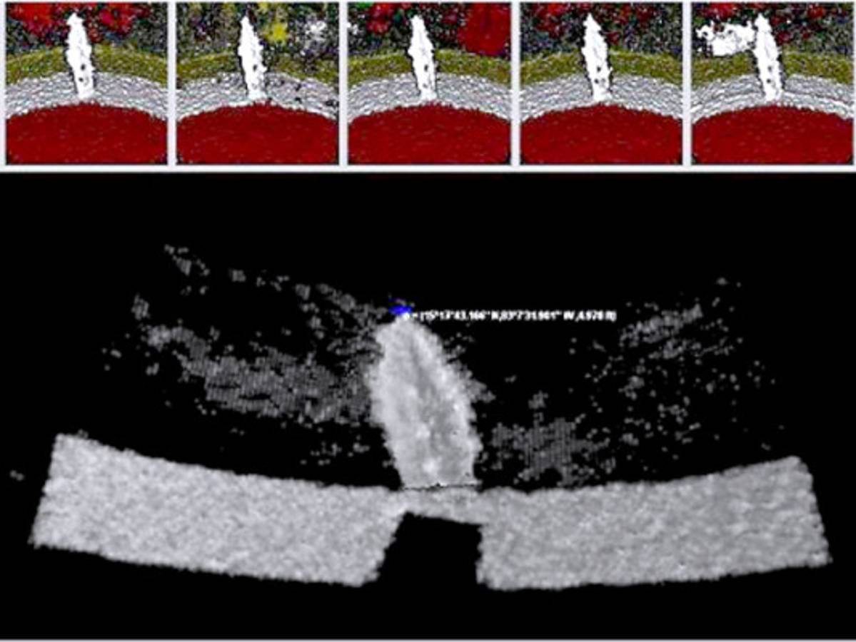 Más de 21,000 kilos de cocaína incautó la Naval