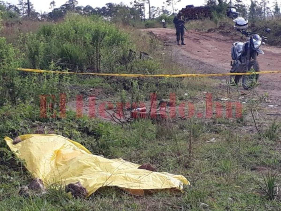 Hallan cadáver de una mujer en una zacatera de Zambrano