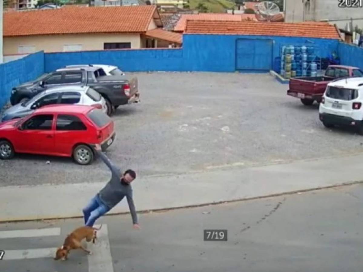 VIDEO: Perro a toda velocidad provoca aparatosa caída de un hombre