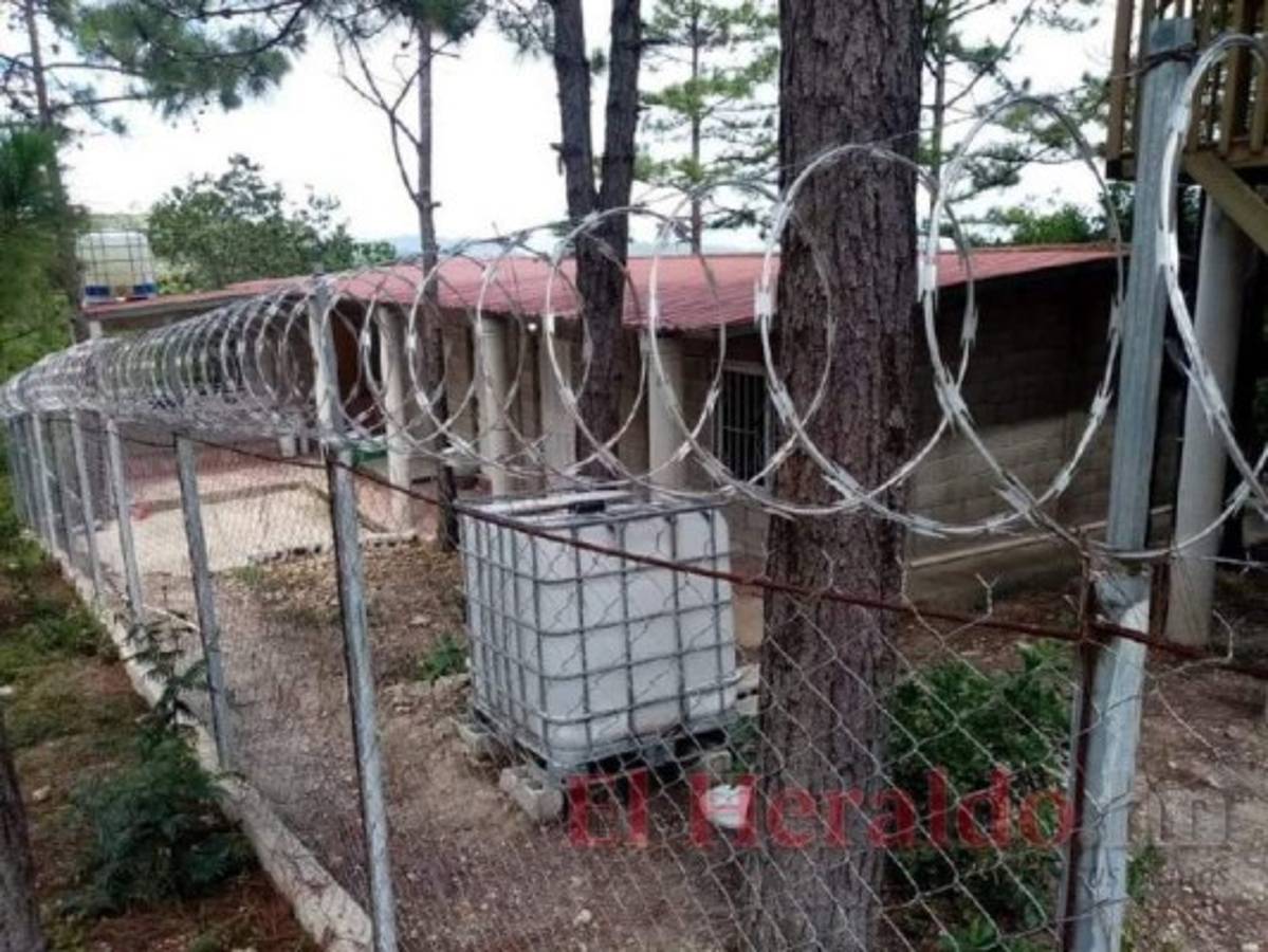 El espacio donde los canes pueden vivir libremente mientras encuentran un nuevo hogar que los adopte.