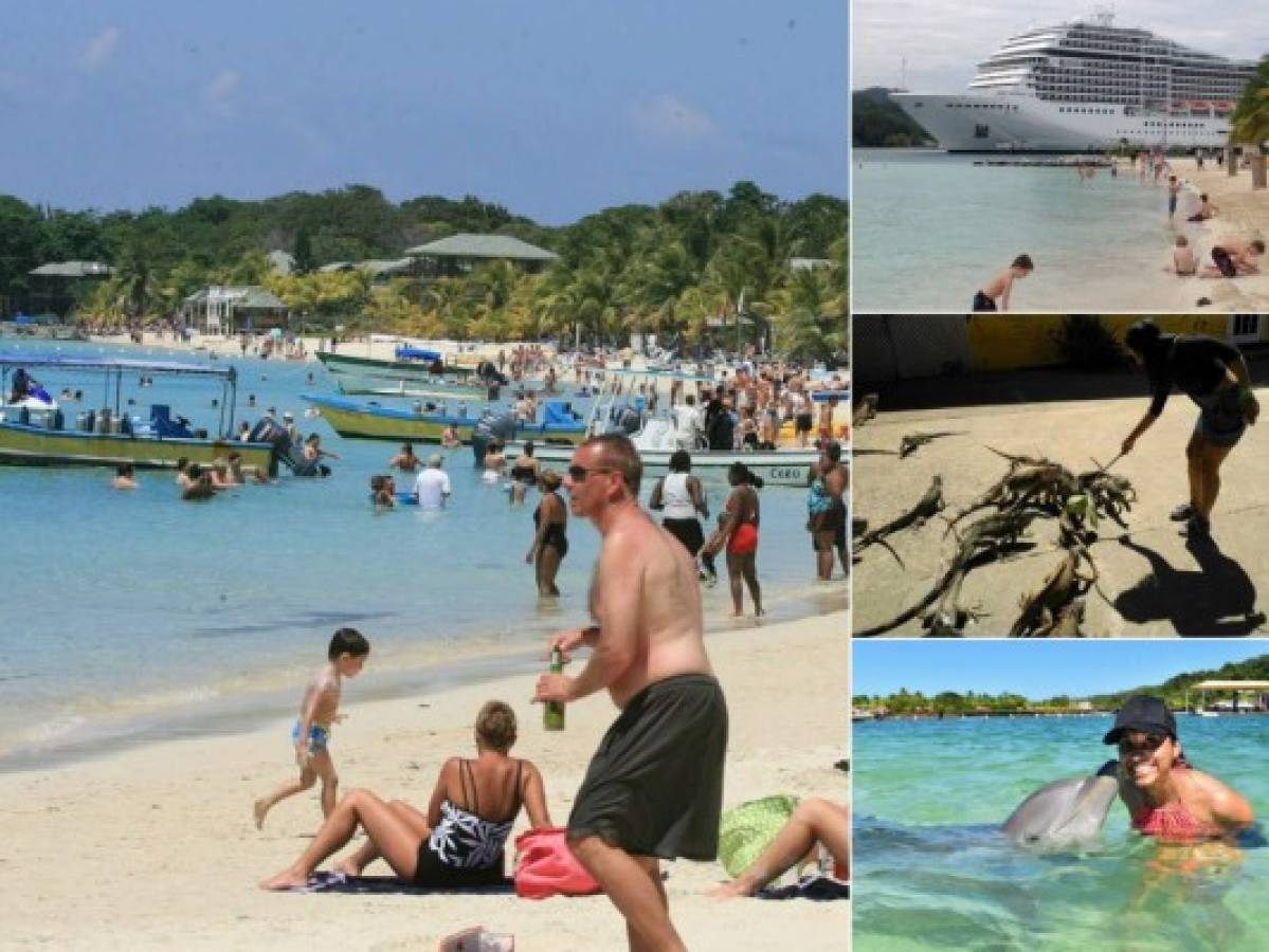 Las cinco actividades que debes hacer en Roatán, Islas de la Bahía, Honduras