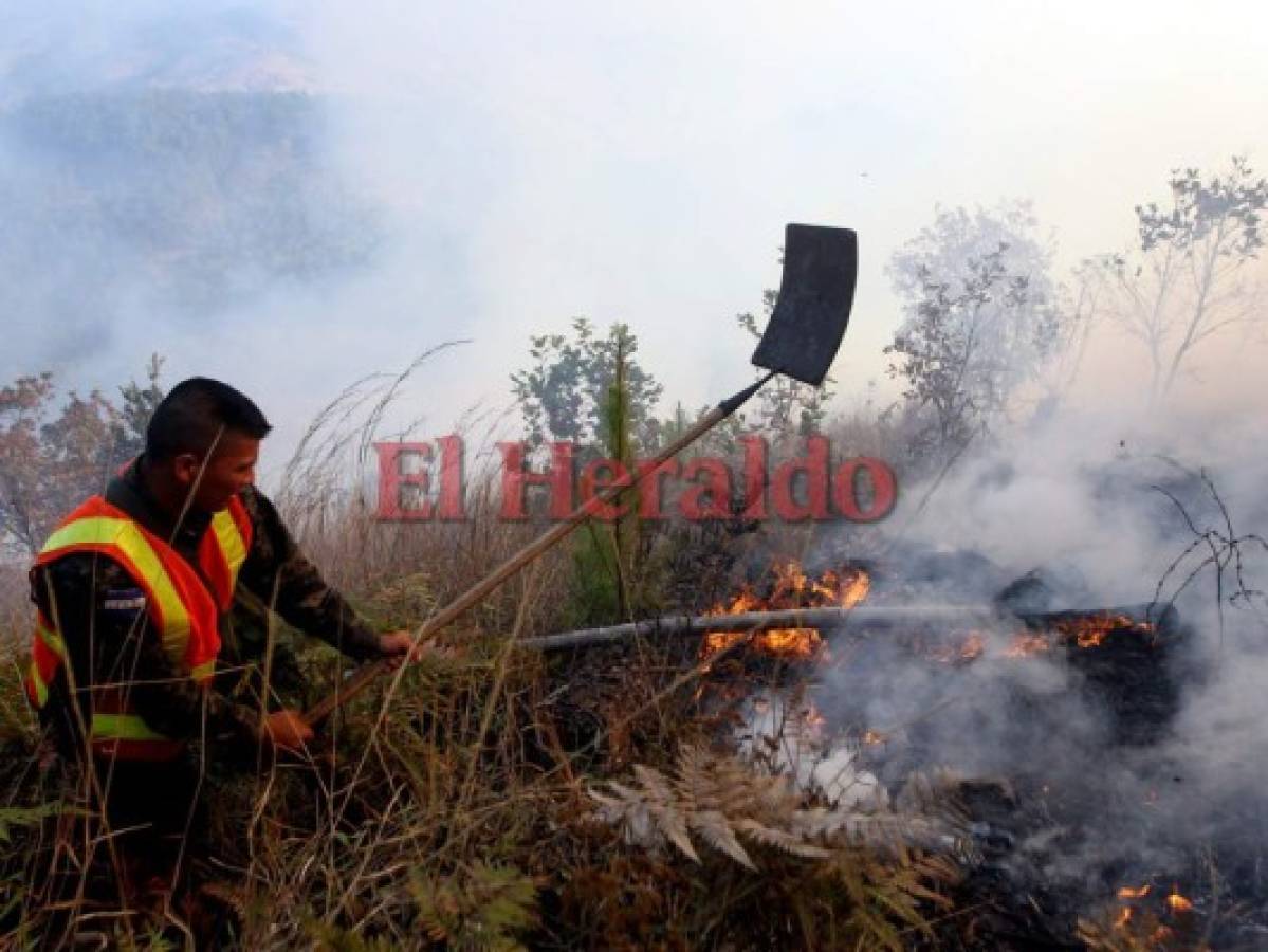 No cesa incendio en El Hatillo; llamas ya consumieron unas 180 hectáreas