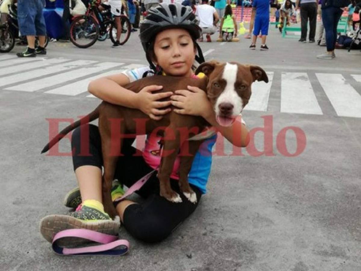 Moka, la pitbull que robó miradas en la Vuelta Ciclística Infantil