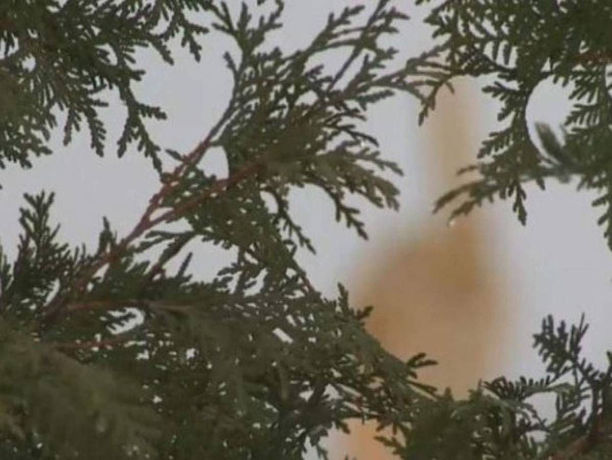 Le negaron permiso de construcción durante una década y así se vengó de autoridades de Massachusetts 