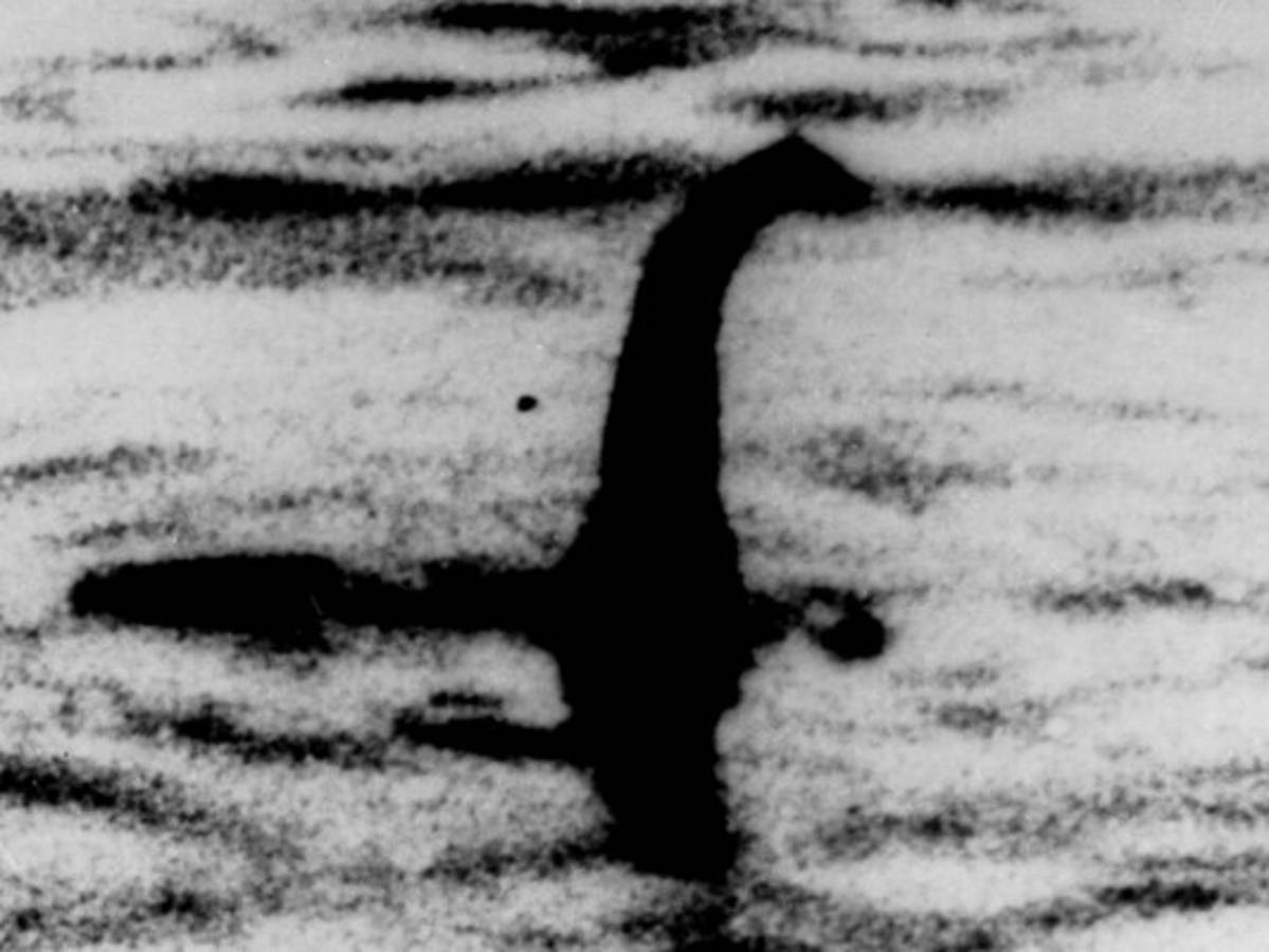 Monstruo del lago Ness podría ser anguila grande, según científicos