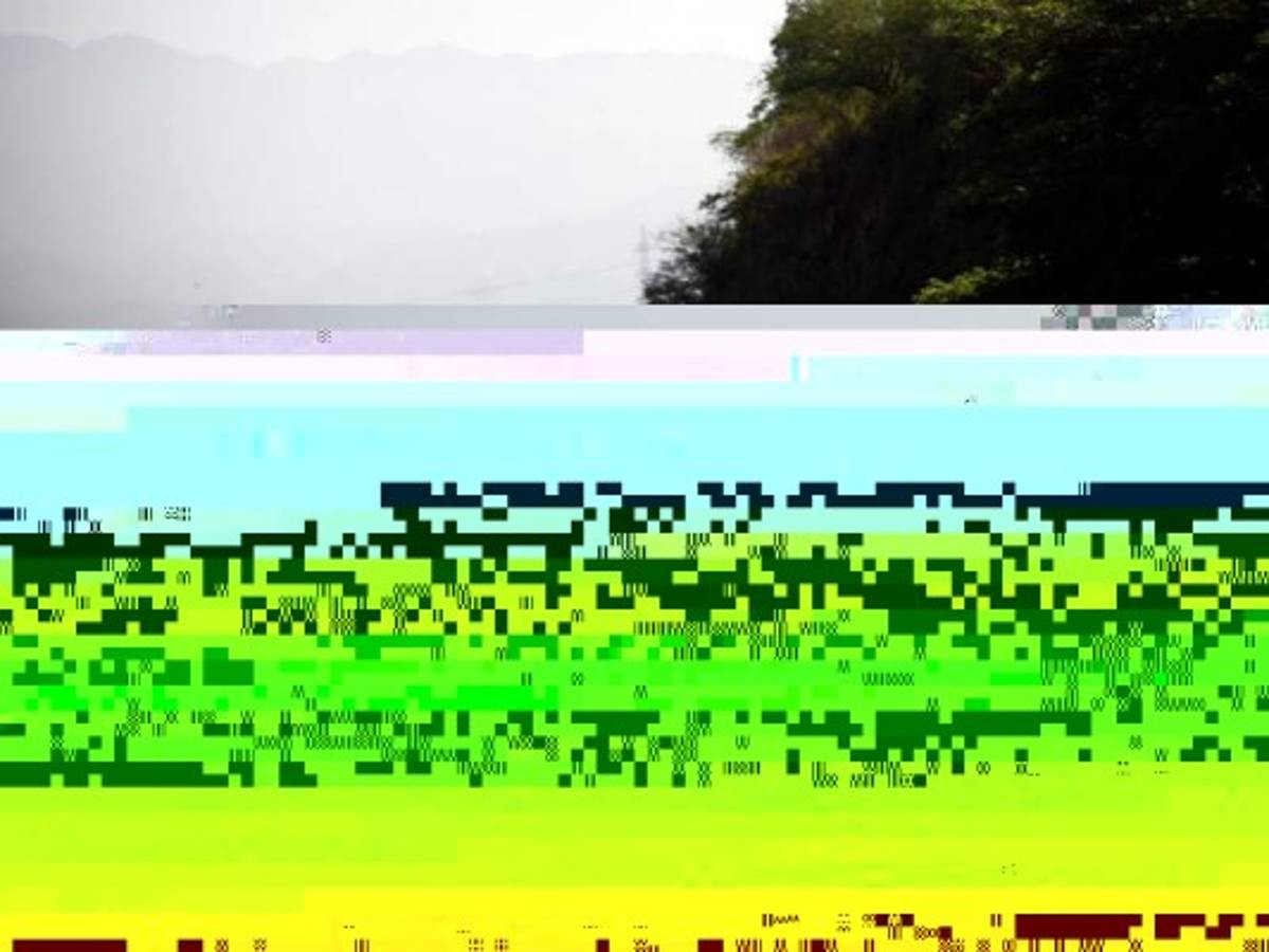 El monumento está ubicado en el valle de Comayagua, a la orilla de la carretera CA-5, pero no hay acceso al público, ni siquiera para ver el monumento levantado por las Fuerzas Armadas (FF AA). Fotos: Emilio Flores / EL HERALDO.