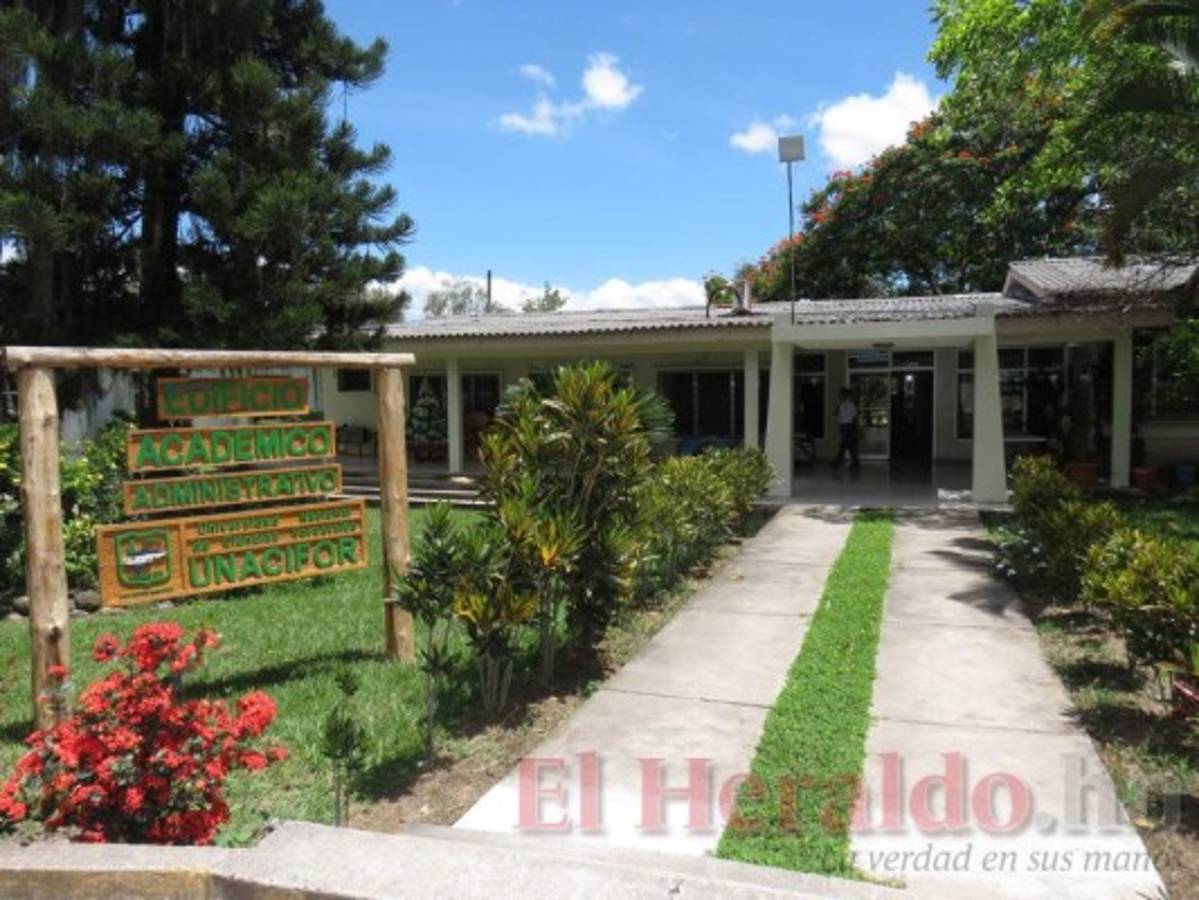 Laboratorios de investigación agroforestal son pioneros en CA