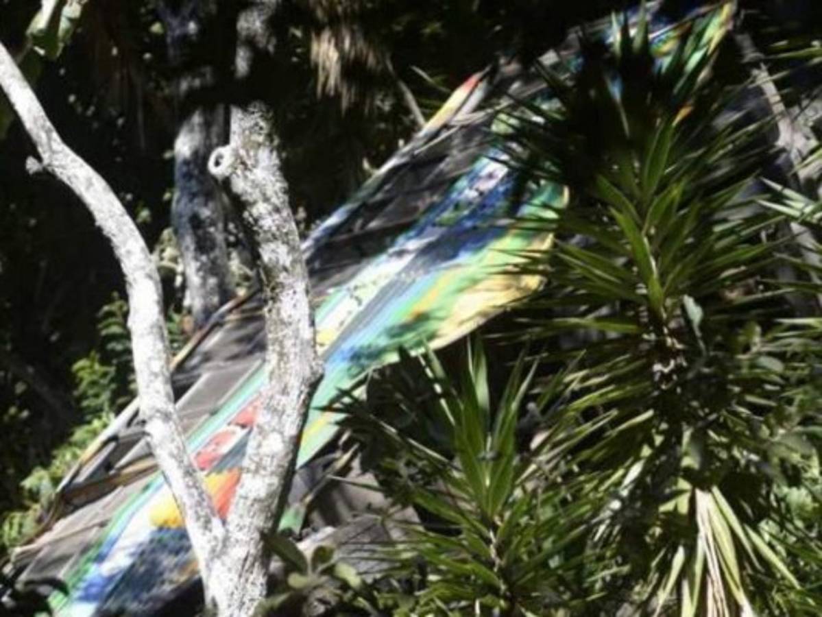 Siete muertos y 40 heridos deja accidente de autobús en El Salvador