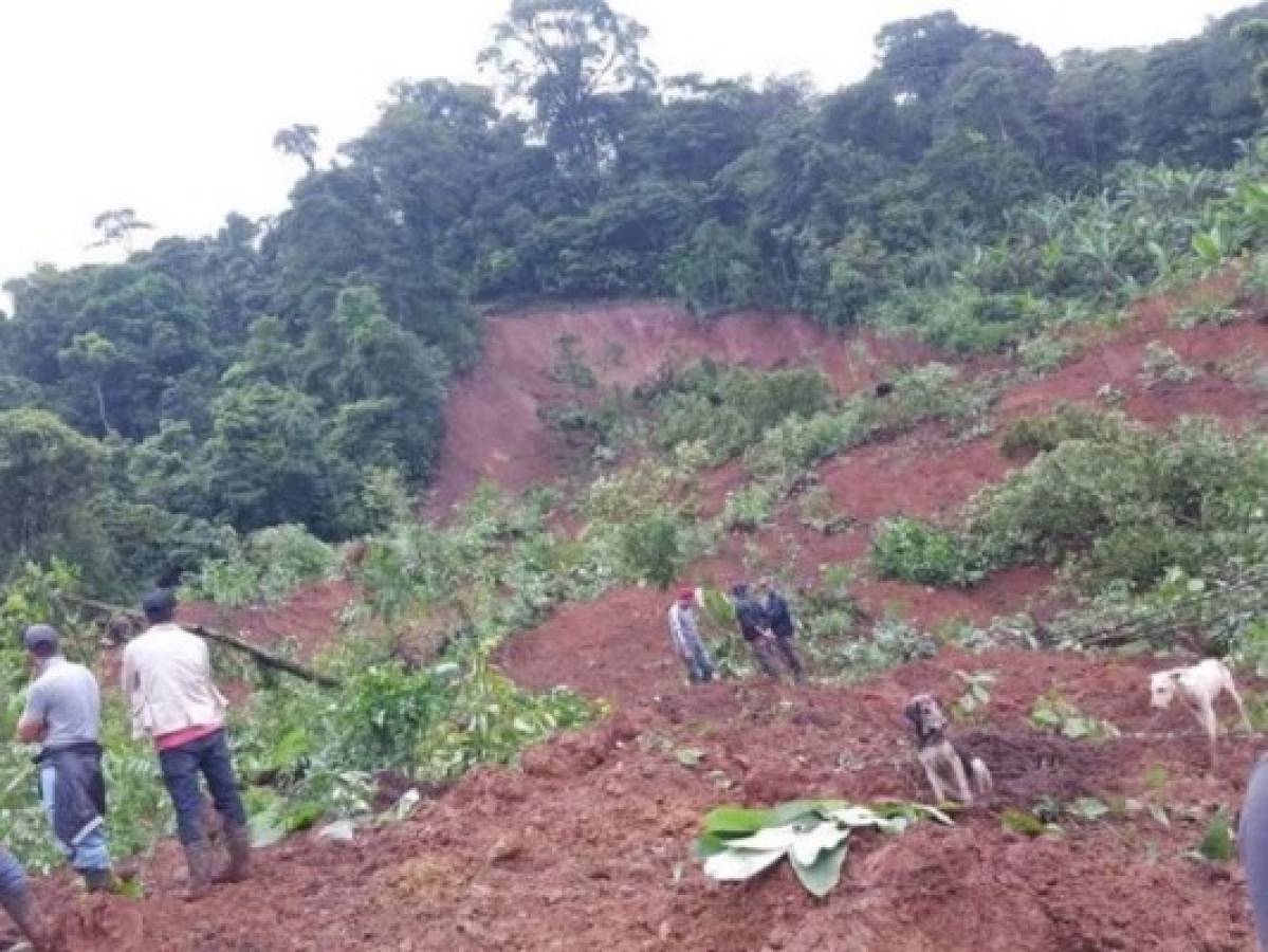 Familia muere sepultada por derrumbe en norte de Nicaragua 