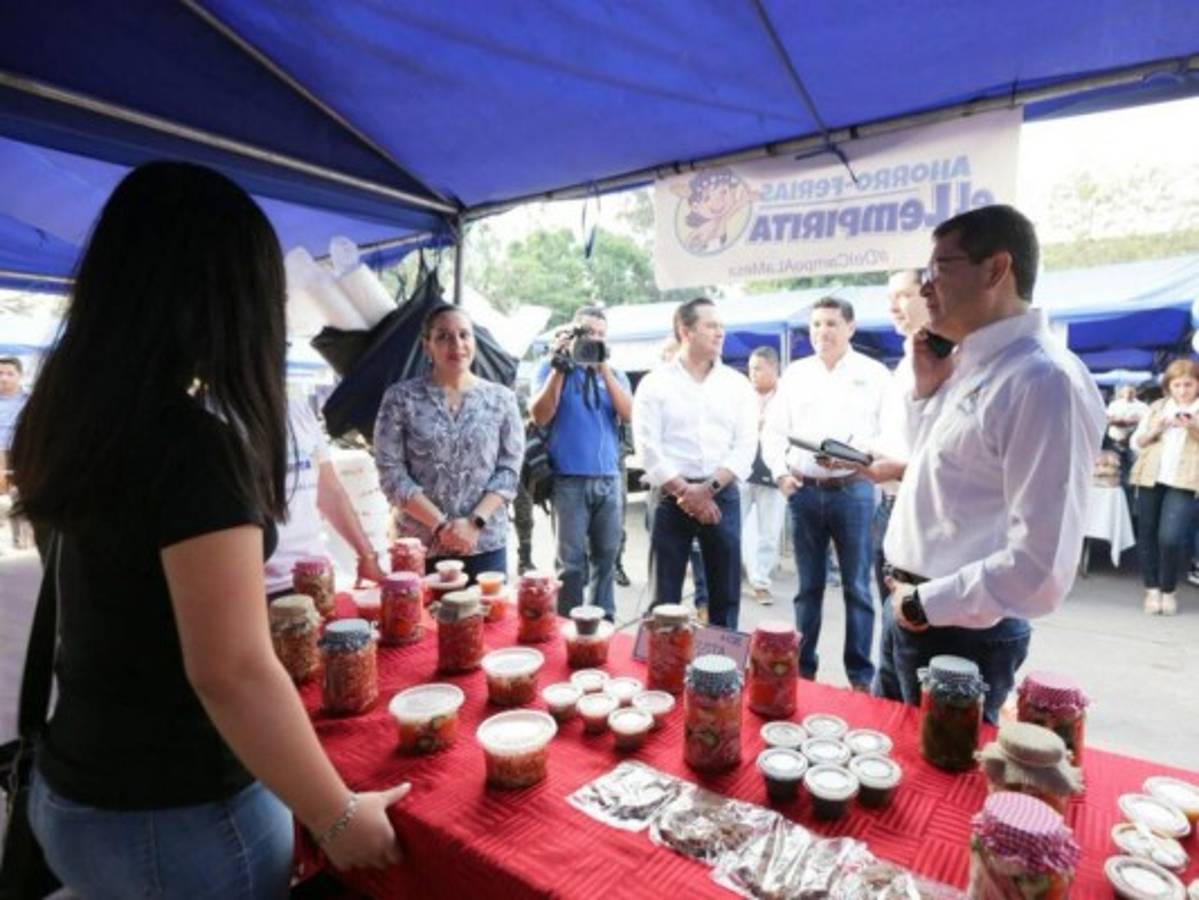 Iniciativa del Campo a la Mesa beneficia a 100 mil familias