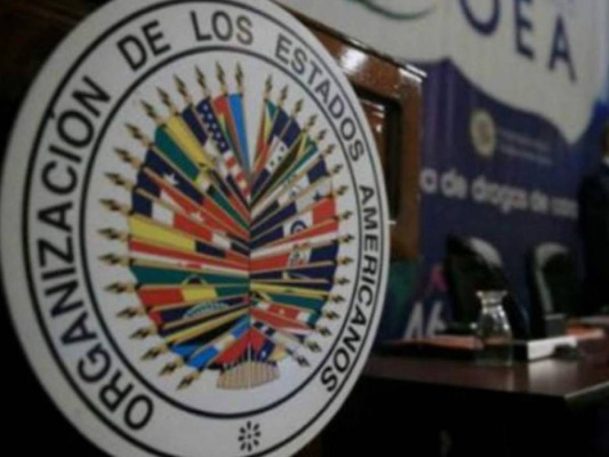 OEA presentará al Congreso Nacional borrador de reformas electorales