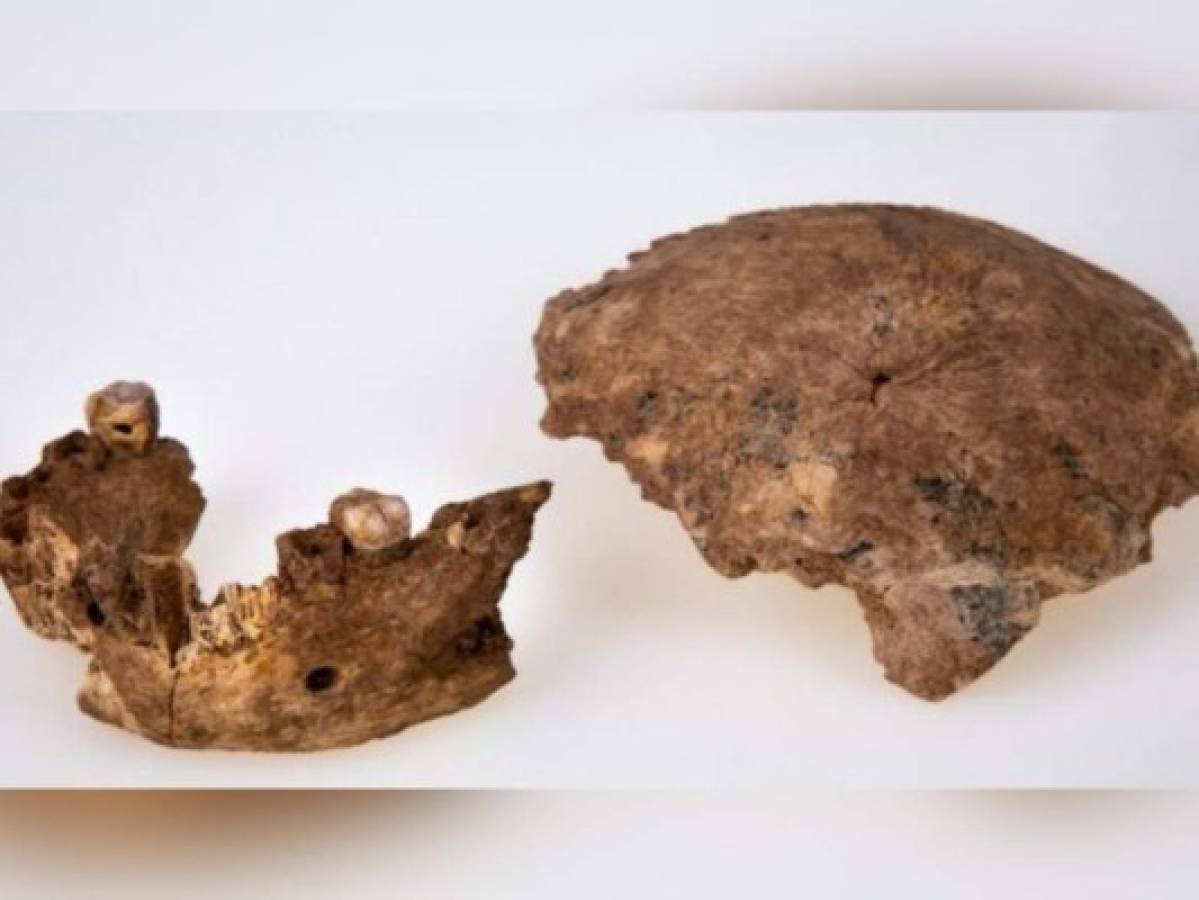 Encuentran en Israel nueva especie de hombre prehistórico