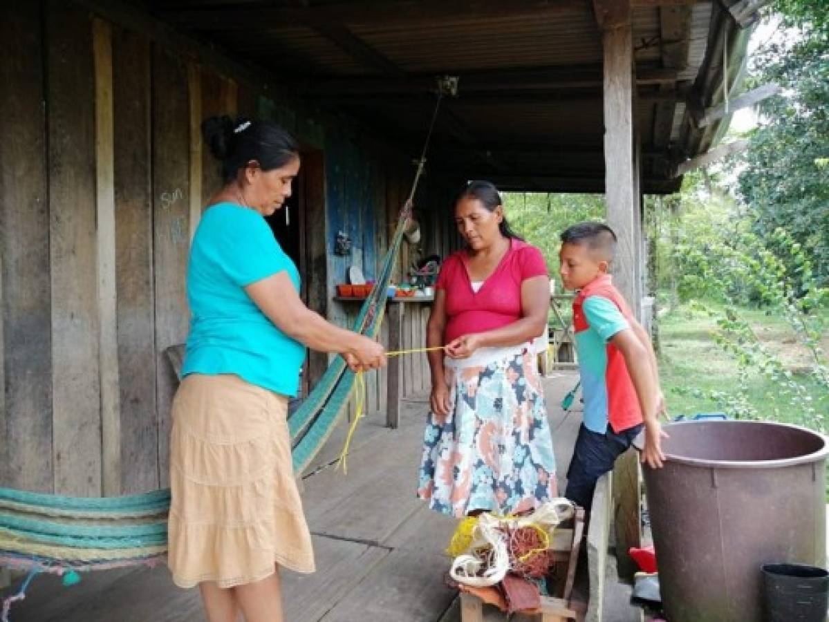 La Unión Europea lanza el proyecto PIAH para dinamizar las economías locales de mujeres y jóvenes indígenas y afrodescendientes