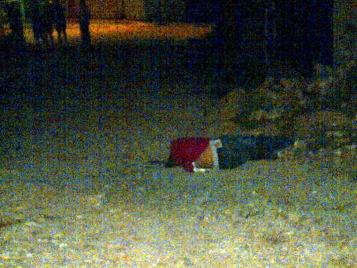 Asesinan a cuatro jóvenes en Comayagüela