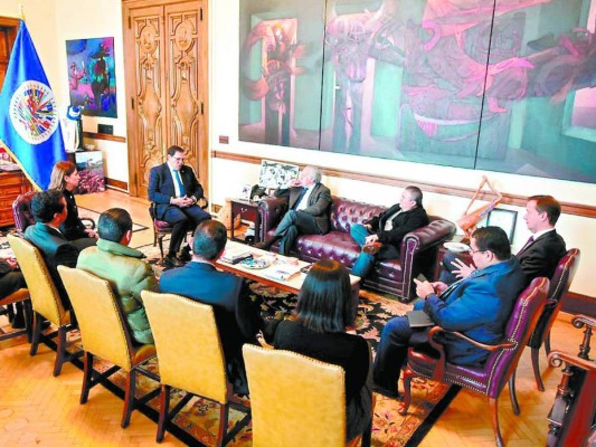 Gobierno y la OEA retoman el diálogo por la Maccih