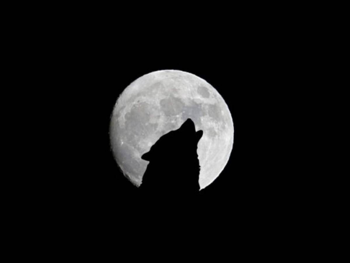 ¿Cuándo se podrá ver la primera Luna del Lobo en 2022?  
