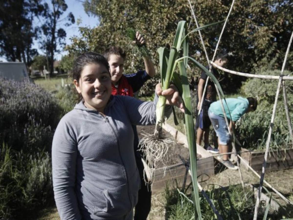 La ciudad argentina que se llenó de arboles frutales