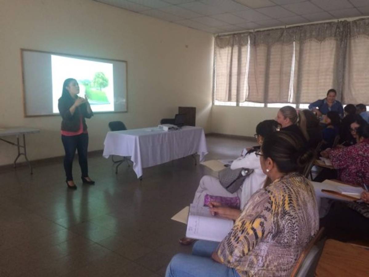 Inician cambios en las escuelas ambientalistas