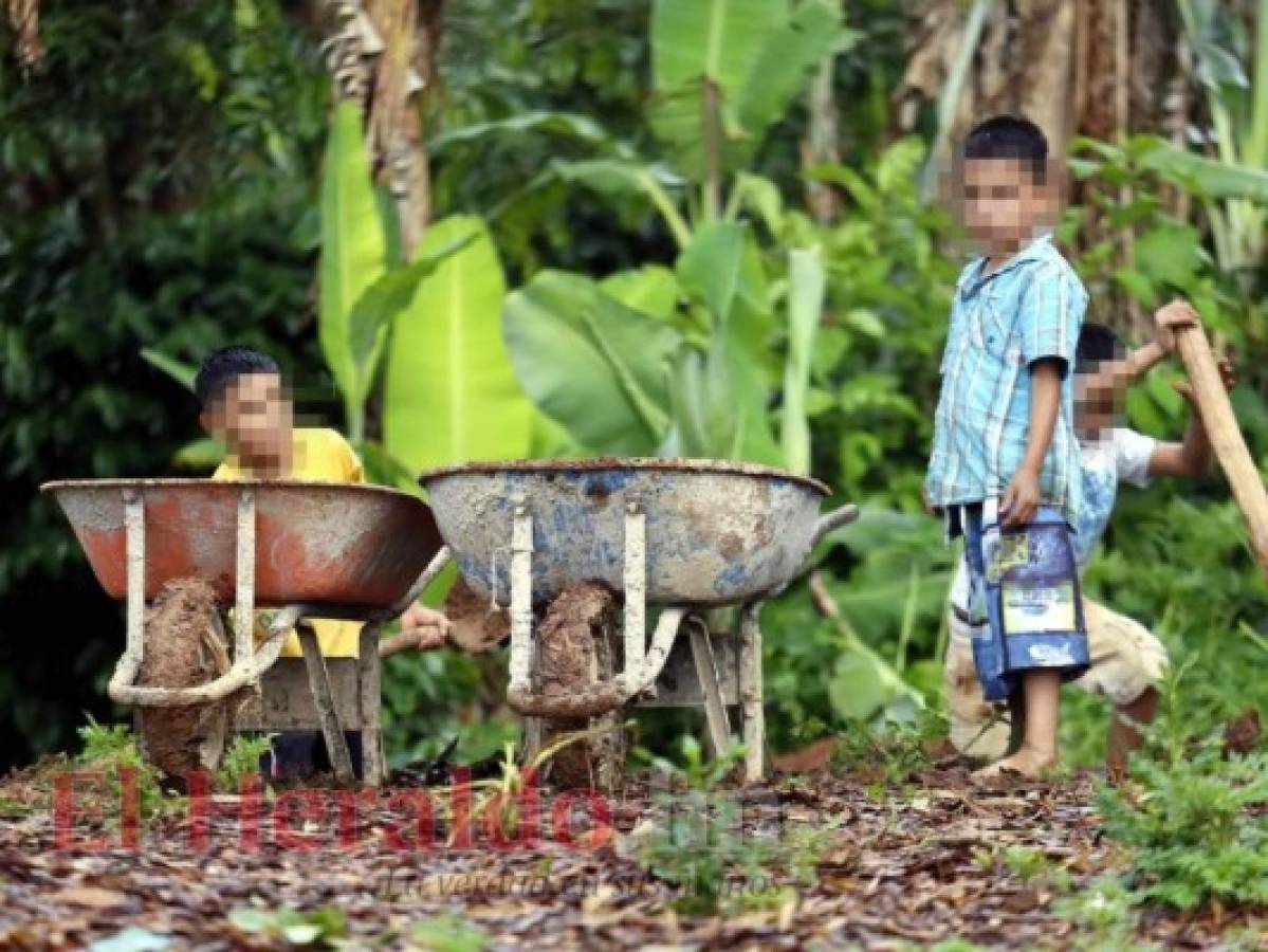 Niños viven atrapados por el trabajo infantil en Honduras