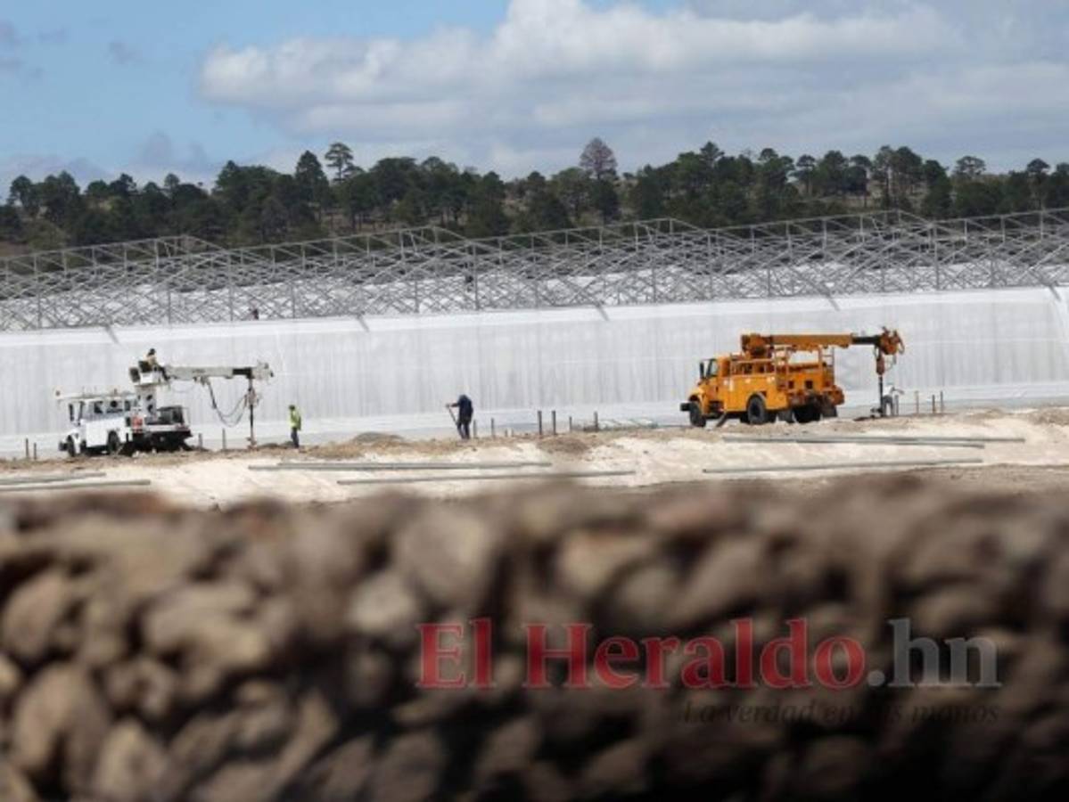 Inversionista confirma que Agroalpha es una ZEDE