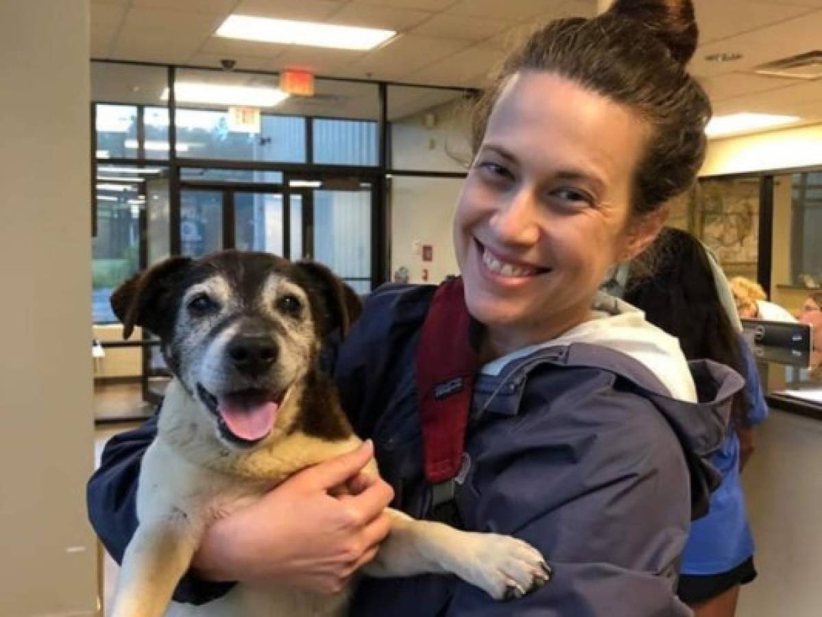 Mujer encuentra a su perro extraviado hace cinco años en Estados Unidos