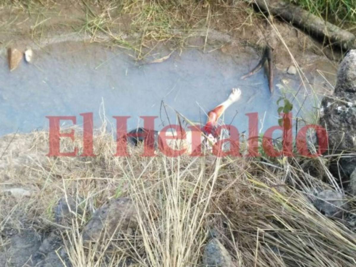 Flotando en quebrada hallan cuerpo de un hombre en la capital de Honduras