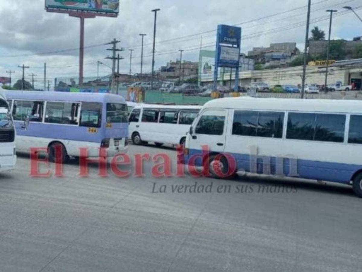 En las próximas horas se aprobarán L 250 millones para el transporte, según el IHTT  