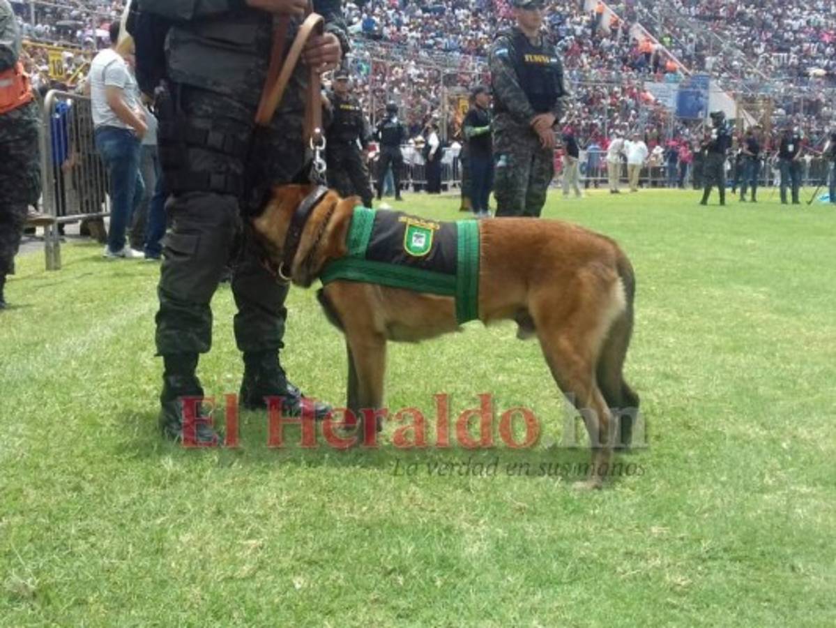 Momento en que Killer realiza su show en la grama del coloso capitalino. Foto Eduard Rodríguez