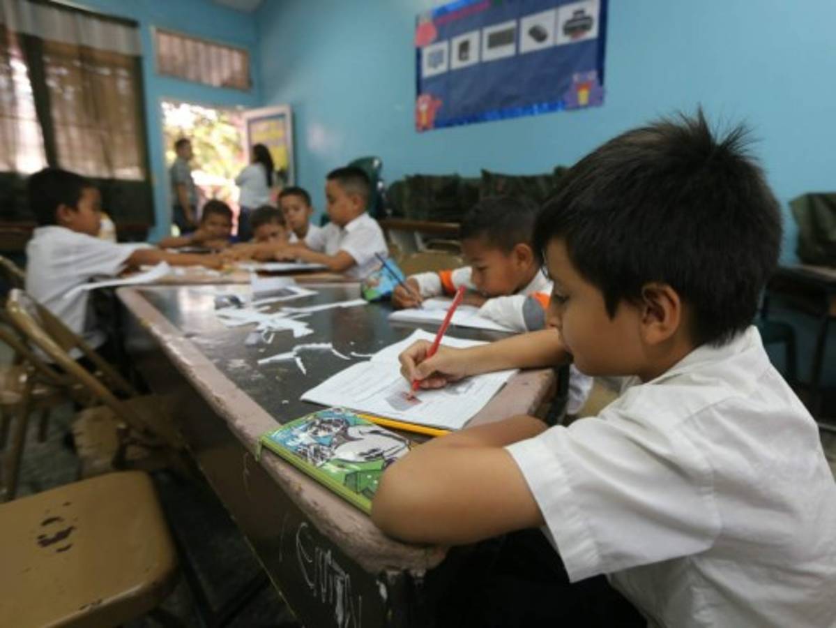 Estudiantes a favor de proteger el ambiente