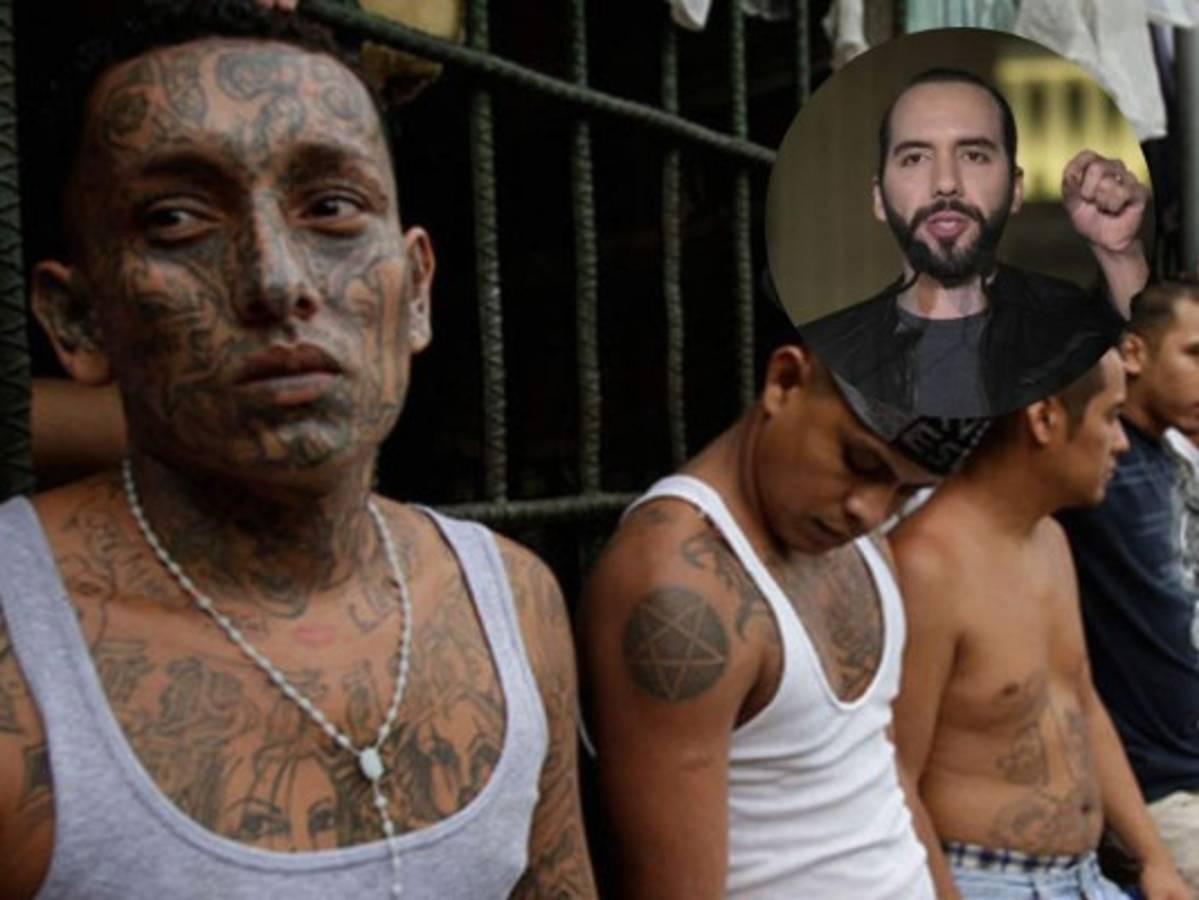 Bukele da plazo de 72 horas para cortar señal telefónica en cárceles de El Salvador