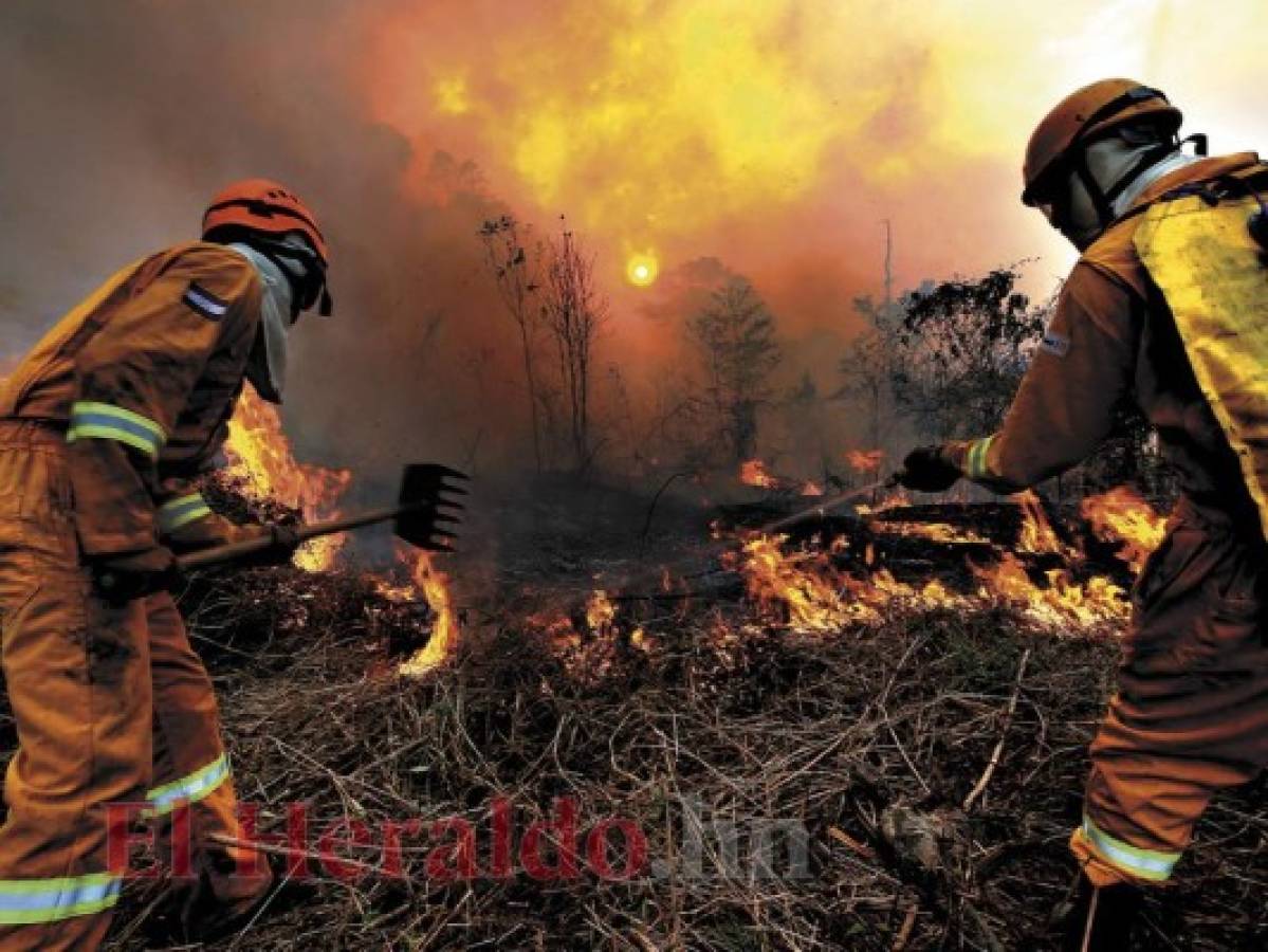 Incendios en Honduras han consumido 9,581 hectáreas de bosques en 2019