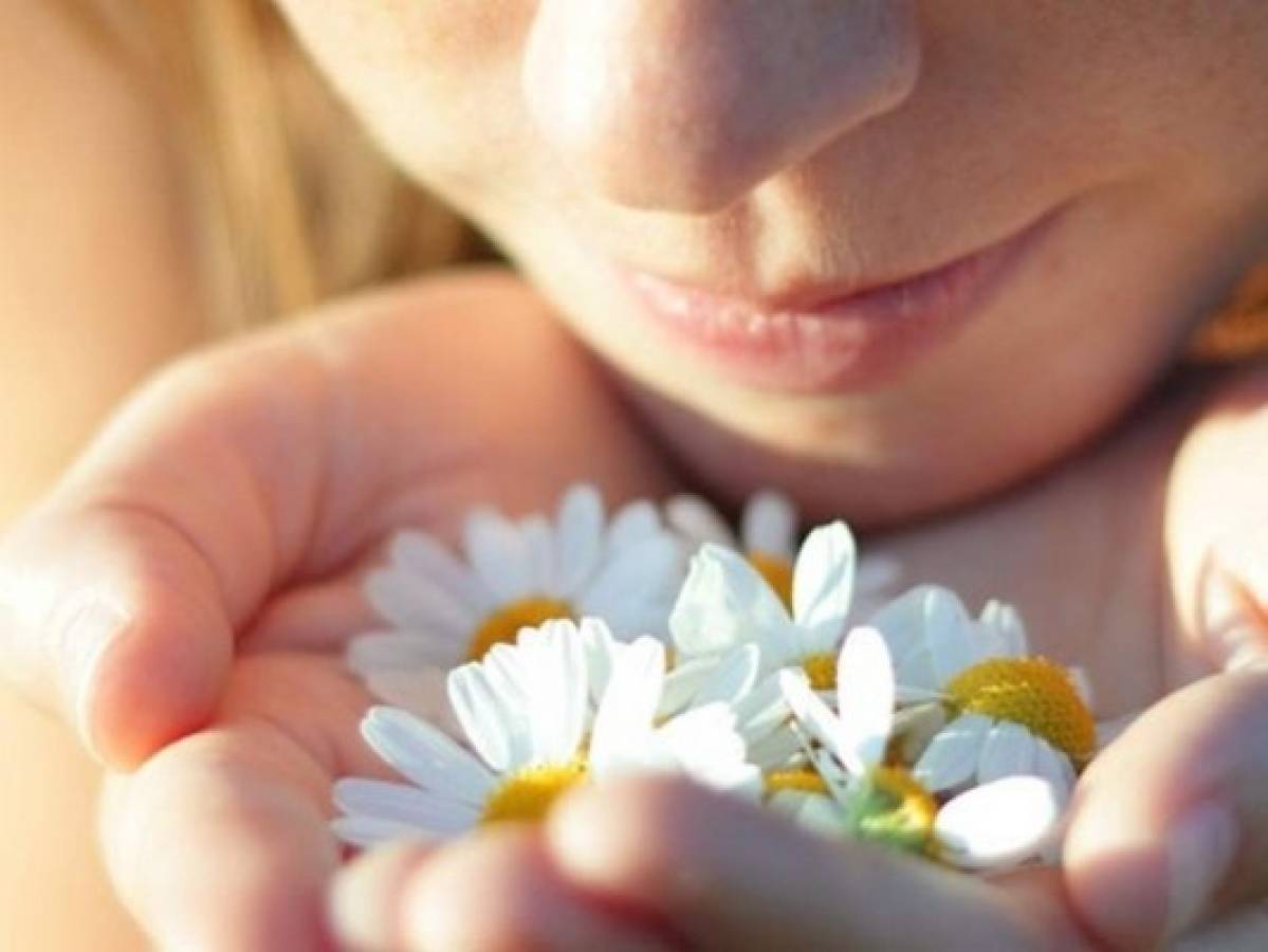 ¿Por qué ciertos olores nos traen recuerdos de la infancia?  
