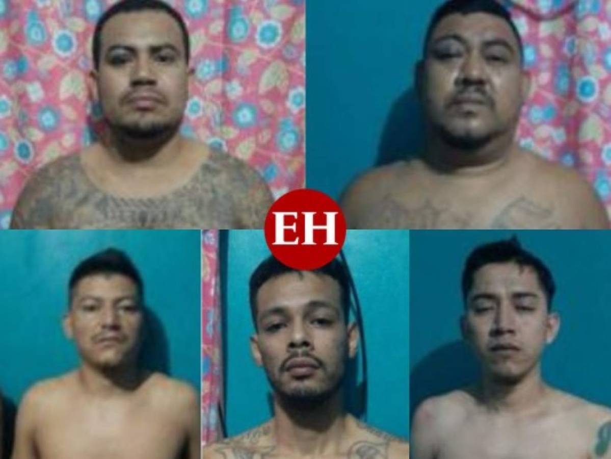 Capturan a nueve miembros de la MS-13 ligados a 'El Porky' en San Pedro Sula