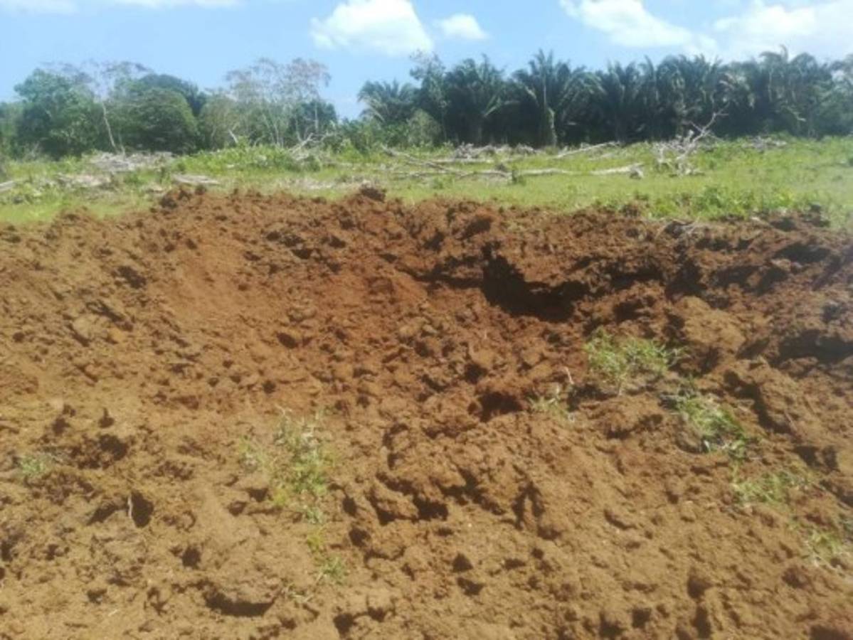 Honduras: Destruyen narcopista clandestina en Iriona, Colón