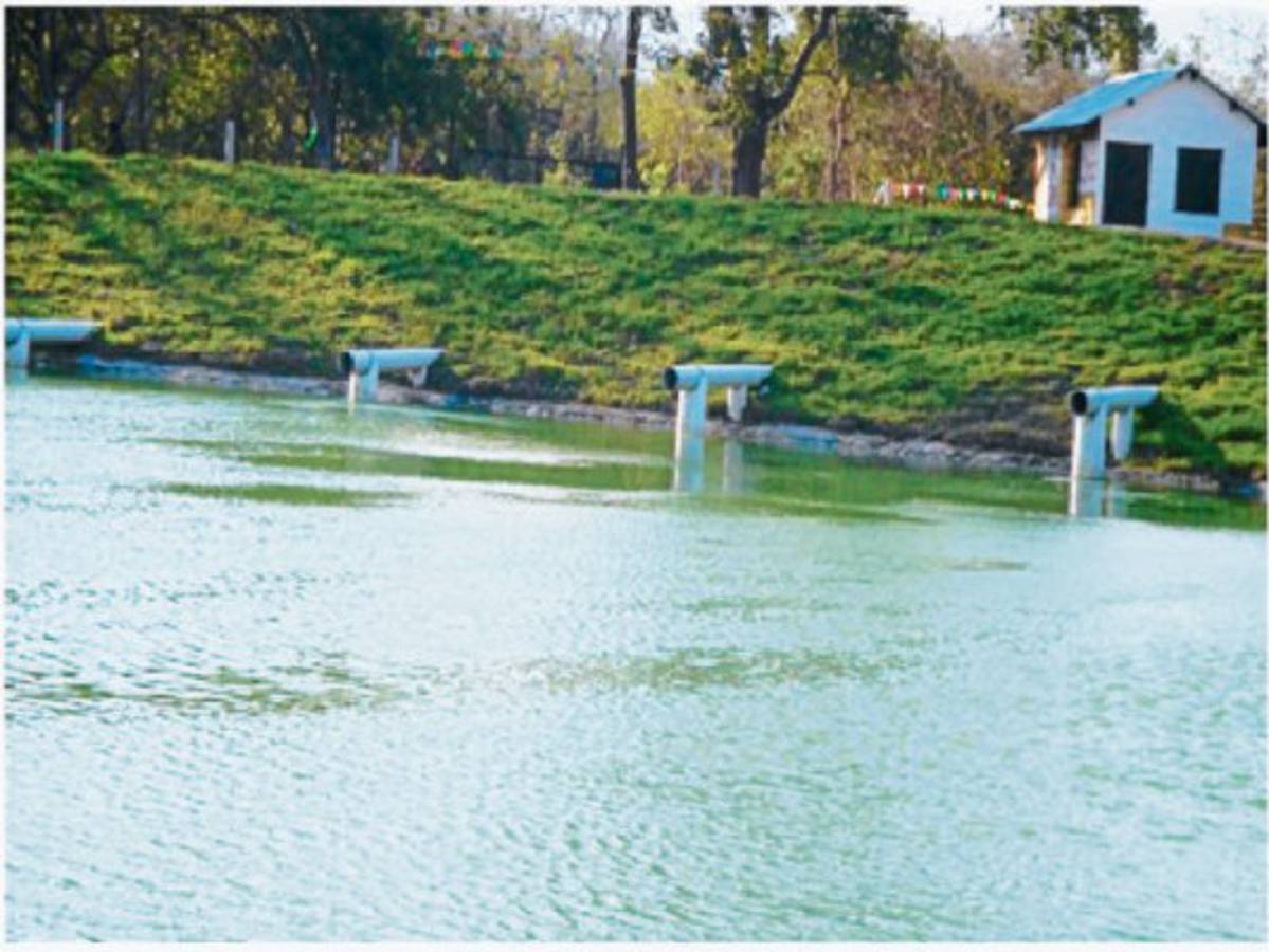 En seis meses, Cane culminará el proyecto de aguas negras