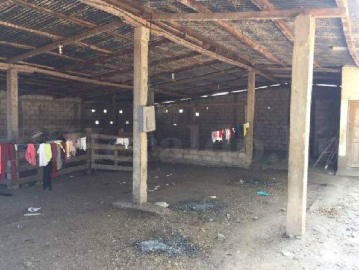 Honduras: Incautan bienes y finca a yerno de Arnulfo Valle Valle en Operación Estigia en Morazán, Yoro