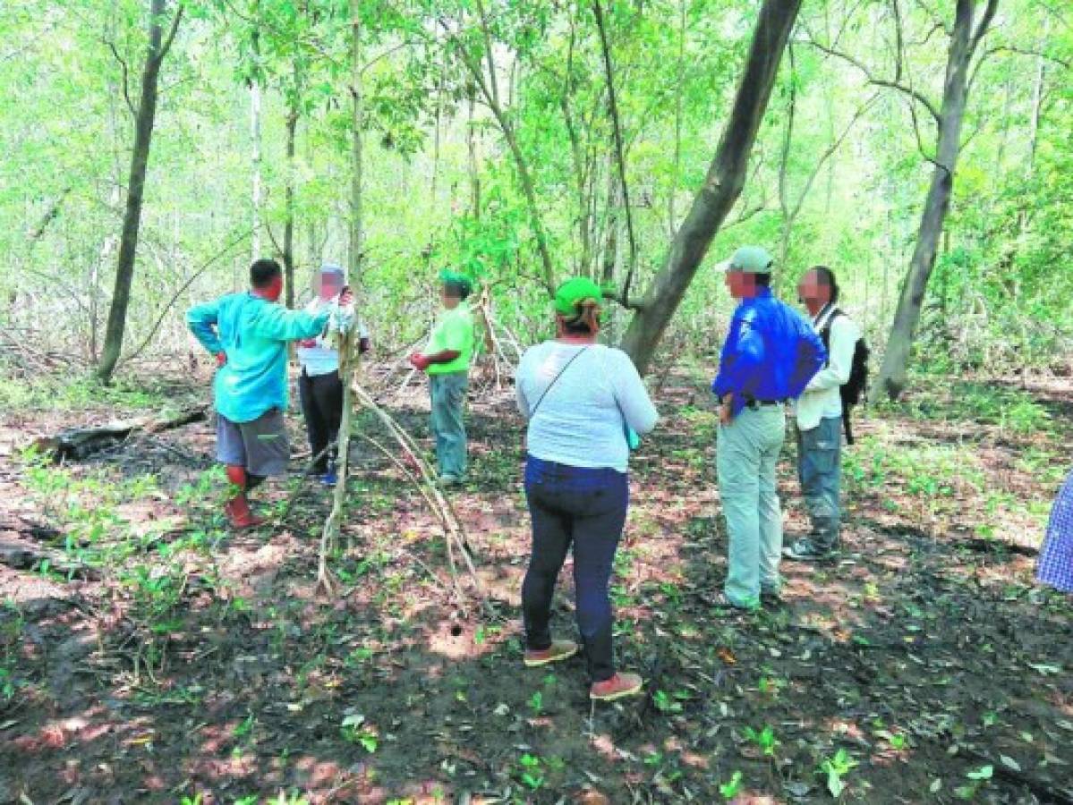 Honduras: Pescadores del golfo abandonan su trabajo por temor a pandillas