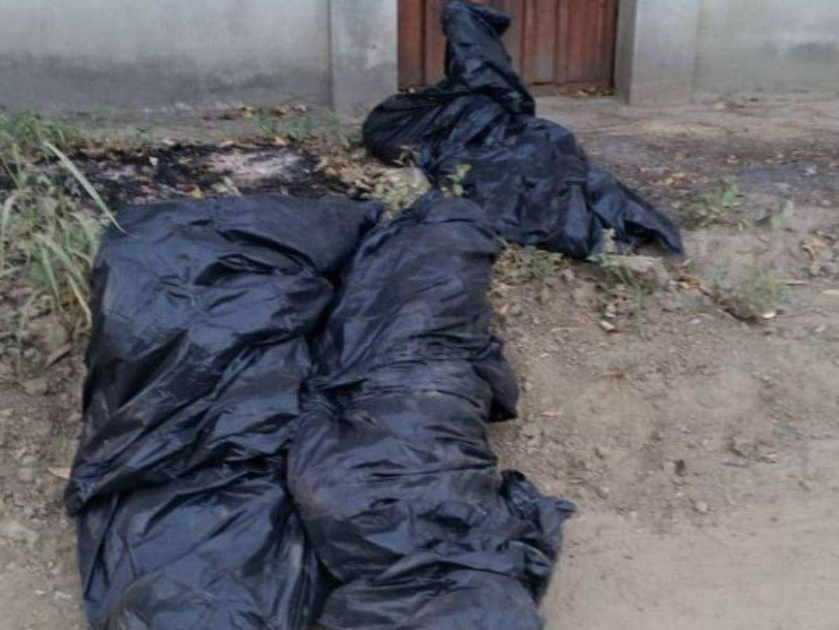 Encuentran tres cadáveres embolsados en San Pedro Sula