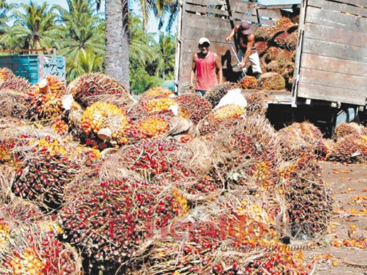 Estado paga 500 millones por deuda del MUCA y MARCA