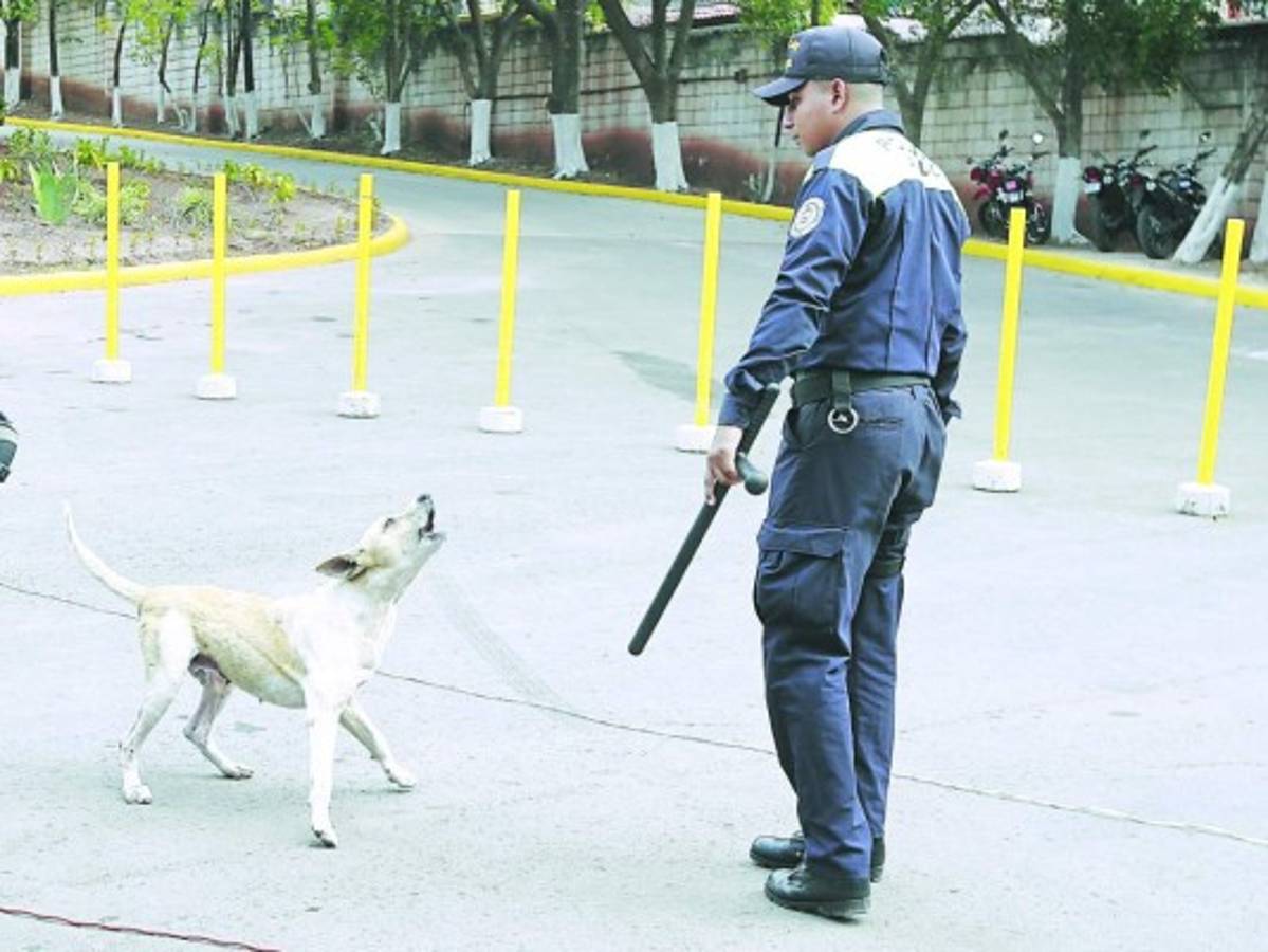 Amenos momentos en la toma de posesión municipal