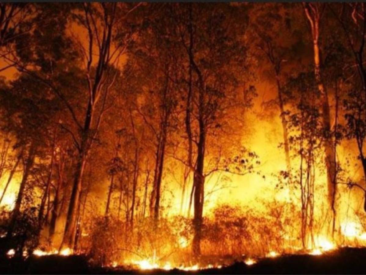 Hallan a una persona y temen la muerte de dos tras incendio forestal en EEUU