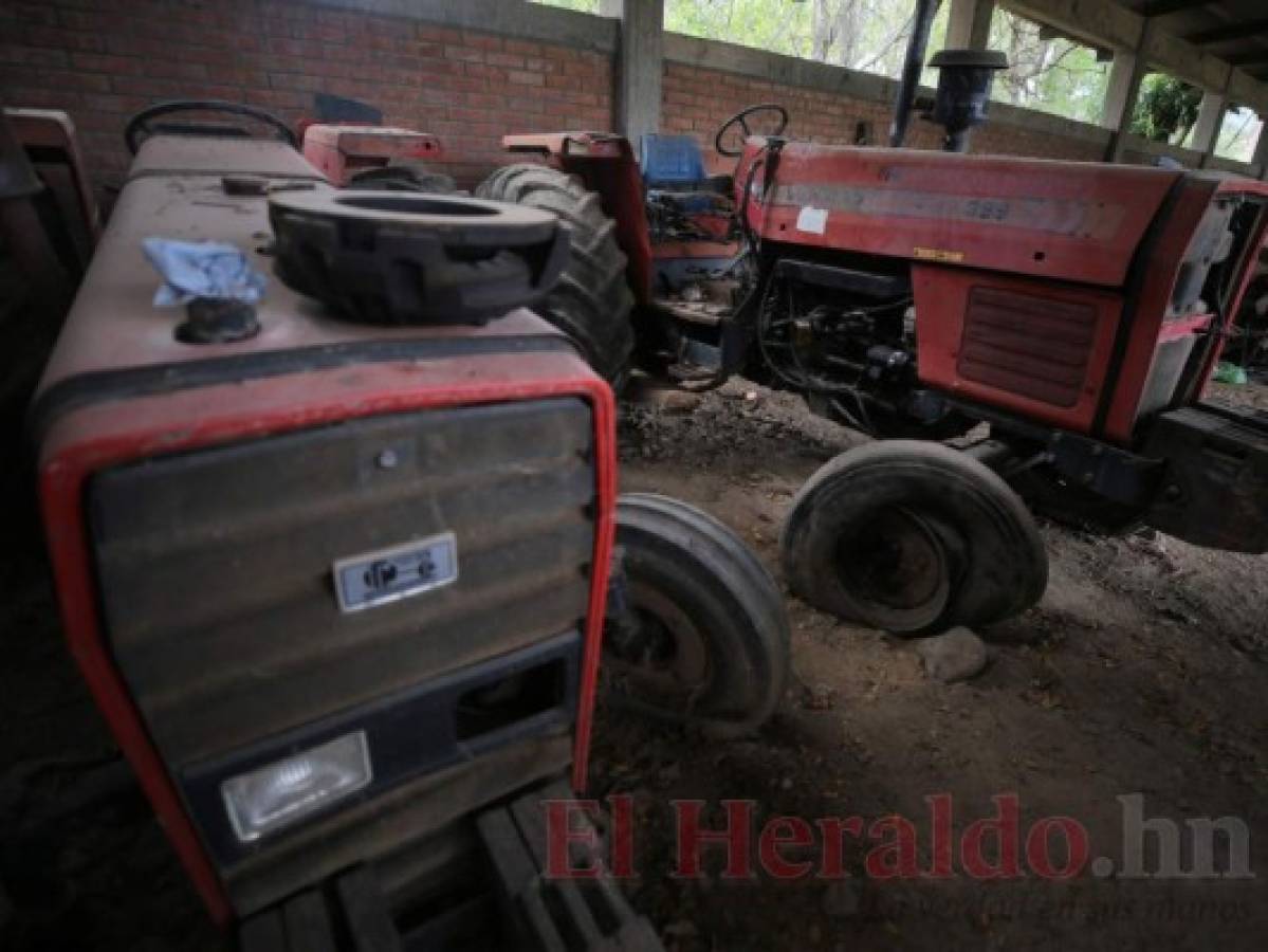 Nadie quiere saber nada de los tractores abandonados de la Alba