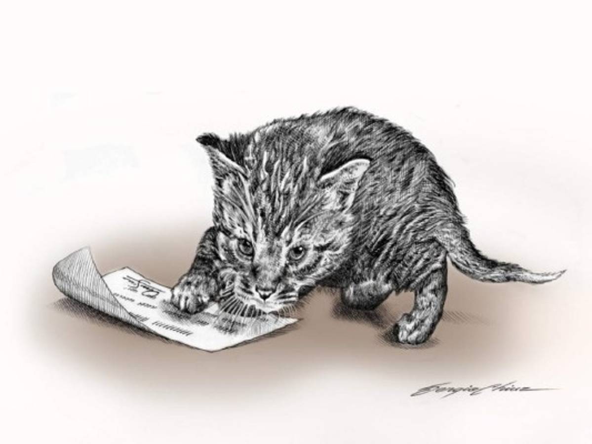 Grandes Crímenes: El juguete del gato