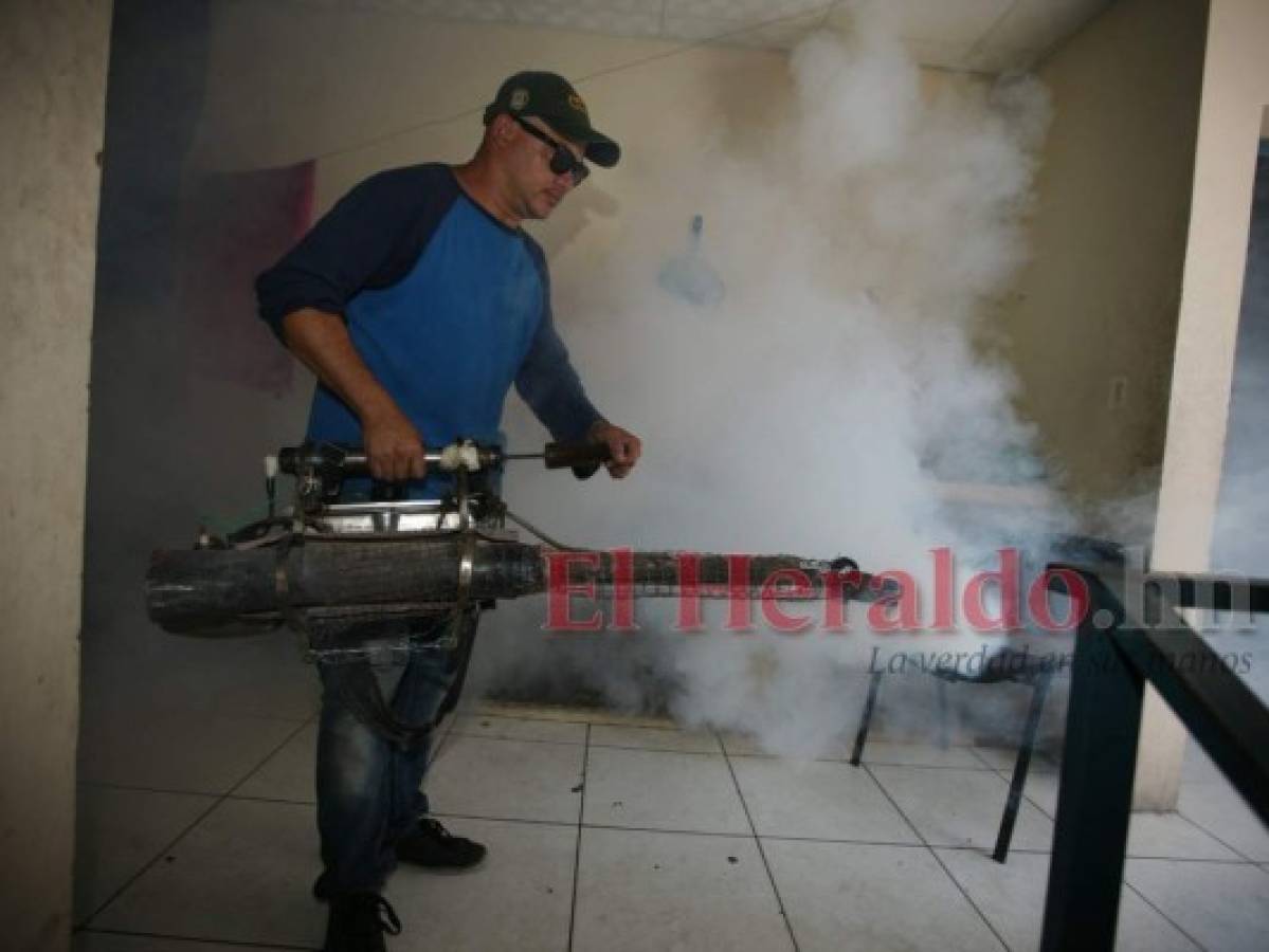 Anuncian fumigaciones nocturnas frenar zancudo Aedes aegypti en Honduras