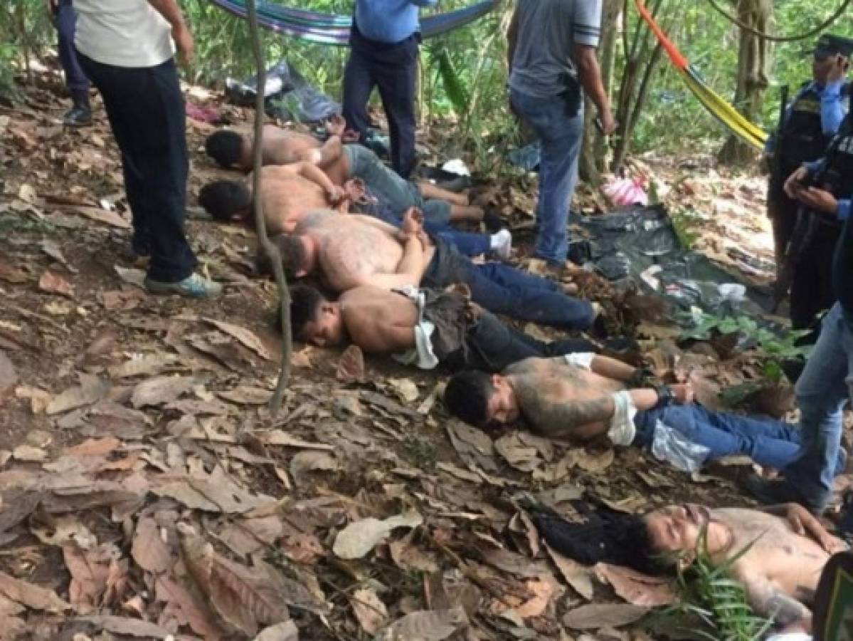 Detienen 11 presuntos miembros de MS-13 en campamento clandestino en El Merendón