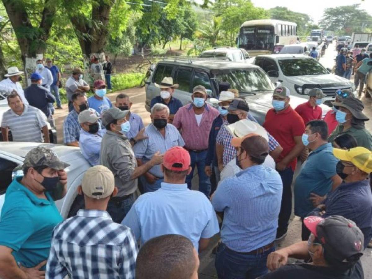 Ganaderos vuelven a protestar por el precio de la leche en Honduras  