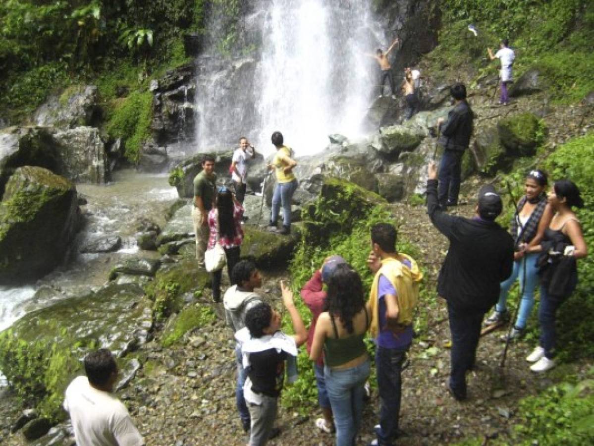 Panacoma, la joya forestal del departamento de Comayagua