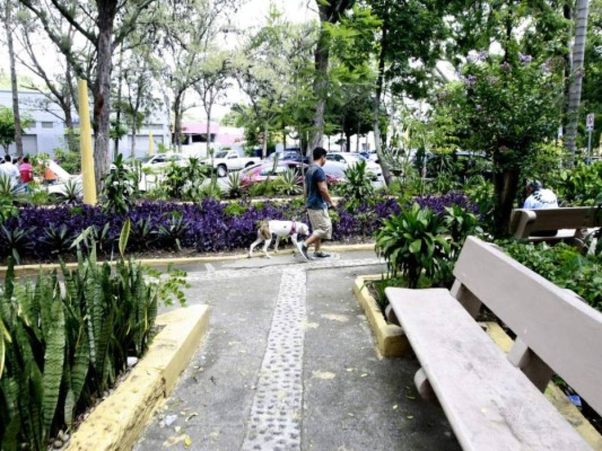 Plazas que no pierden su encanto en el Distrito Central